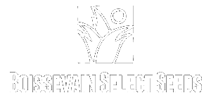 Boissevain Select Seeds