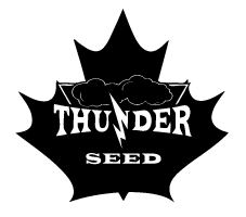 seed_thunder